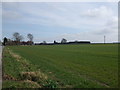 Fields towards Bridge Farm