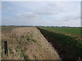 Dike and fields towards the railway