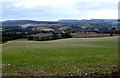 Freshly planted field near Winsham