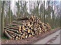 TQ9458 : Wood Pile in Sharsted Plantation by David Anstiss