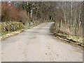 Lane from Castleton of Asloun