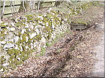NJ5414 : Drain by garden wall by Stanley Howe