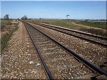 SX9784 : Railway line near Powderham by Derek Harper