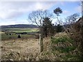 A view west from Gallowhill West