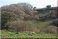 Steep Valley and Blindwell Wood