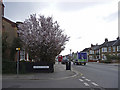 Kimberley Gardens, Enfield