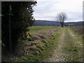 Footpath to Ellesborough