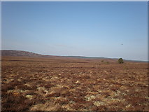 NH9236 : Looking NW Across High Moorland from near 320m top by Sarah McGuire