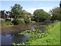 The Bude Canal at Helebridge