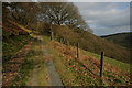 Track above the Nant Einon valley