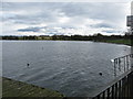 Hogganfield Loch