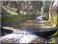 Oldhay Brook stepped weirs