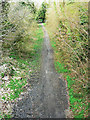 Former M&SWR trackbed, Marlborough