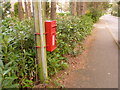 Ashley Heath: postbox № BH24 58, Lions Lane