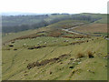 Rough grazing north of Llanycrws, Carmarthenshire