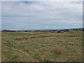 Golf practice hole , Ranfurly