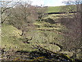 The confluence of Hollocks Burn and Sinderhope Burn