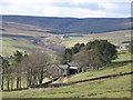 East Allen Dale at Sinderhope (9)