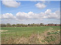 Farmland at Hambrook