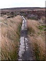 SJ2349 : Offa's Dyke Path by Eirian Evans
