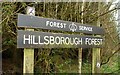 Sign, Hillsborough forest