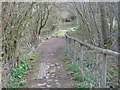 Lane near Knoll Farm, Corfe Mullen