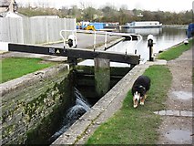 SP9114 : The Entry to the Aylesbury Arm with Marsworth Pound beyond by Chris Reynolds