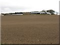 Potato boxes at Colliston Farm