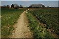 Footpath to Weston-on-Avon