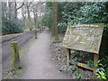 Holmesfield Park Wood - Easy Access Trail