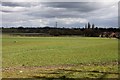 The main railway line across a growing cornfield