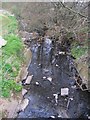 SP0177 : River Rea From Tessall Lane Bridge by Roy Hughes