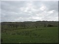 SH4687 : Grazing land at Cefnyddwyffrwd by Eric Jones