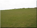 SH4587 : Sheep grazing on sloping pasture land by Eric Jones