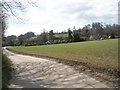 Looking from the bridleway towards Ashcroft Lane