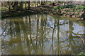 Pond on Stoke Hill