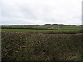 The lower slopes of Mynydd Bodafon from the Maenaddwyn road