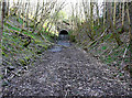 Railway Cutting and Tunnel