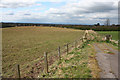 Track through cattle pasture