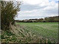 Field at the end of the Disused Railway Line