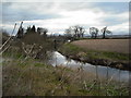 River Forth near Gargunnock bridge