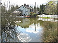 Pond adjacent to Headley Common,  Great Warley, Essex