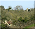 2009 : The Broadmead Brook valley, West Kington