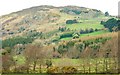 Slievehanny near Castlewellan