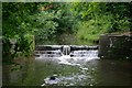 Weir on the Smite Brook