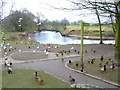 River Wyre at Garstang