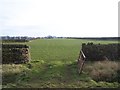 Lambing Field, Mossley Road, Sheephouse Heights - 1