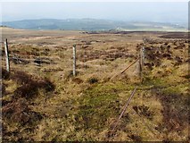 NS4380 : Junction of fences by Lairich Rig