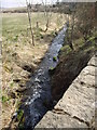 Downstream Gadie Burn