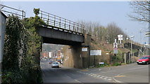 TQ3060 : Railway Bridge Near Reedham Station by Peter Trimming